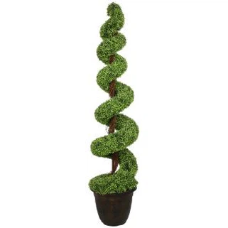 Spirála topiary strom Bonsai
