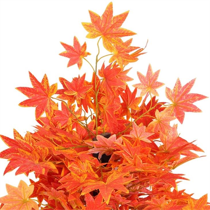 Bright Red Maple Tree With Two Trunk